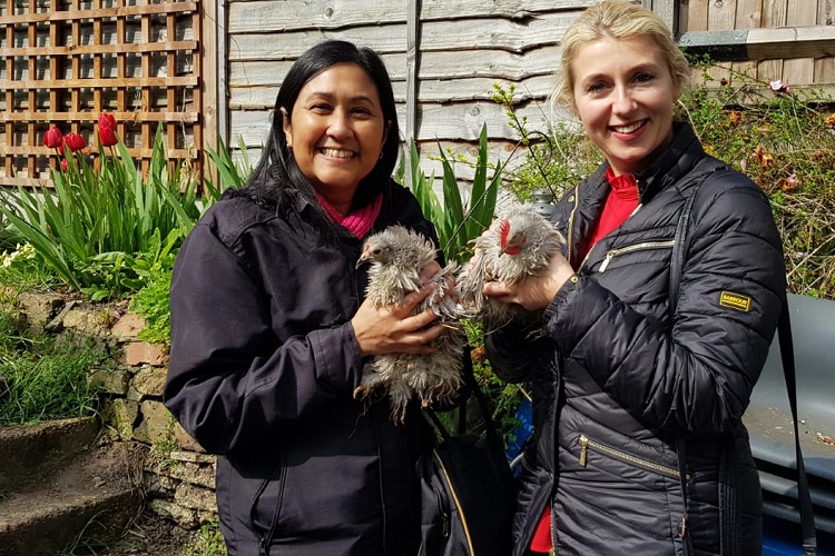 Ladies at the Porridge and Rice petting day hold frizzle Bantam Peking Chickens