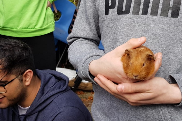 a young man holds a young guinea pig at the farm at 64 on the petting day held to raise money for some of the poorest people in the world